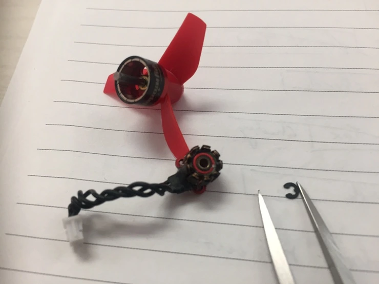 IMG_1612.JPG?type=w1