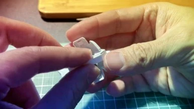 IMG_0584.jpg?type=w386