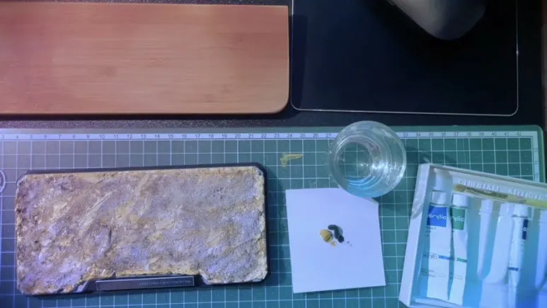 IMG_3572.jpg?type=w773