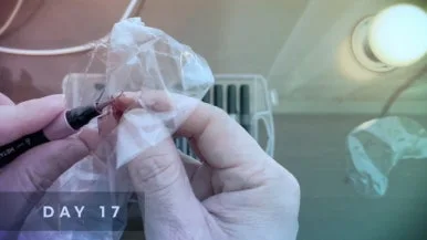 IMG%EF%BC%BF5591.jpg?type=w386