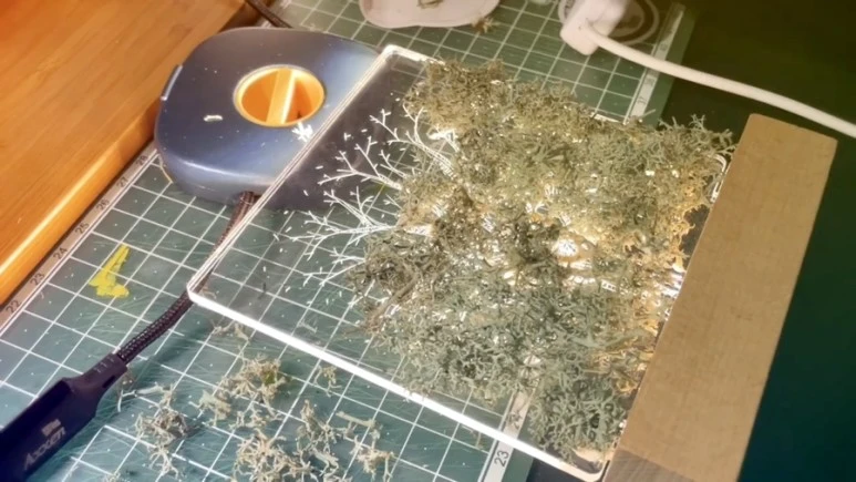 IMG_9303.jpg?type=w773