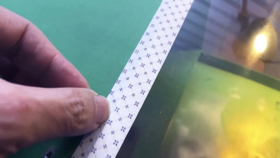 IMG_7596.jpg?type=w1