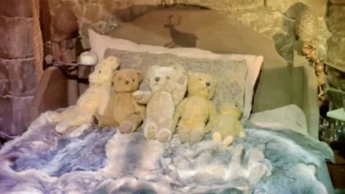 IMG_2896.jpg?type=w386