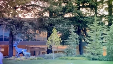 IMG_2889.jpg?type=w386