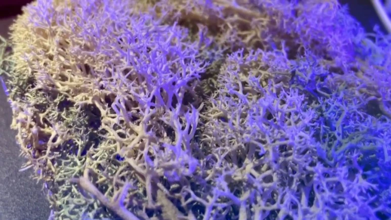 IMG_9307.jpg?type=w773