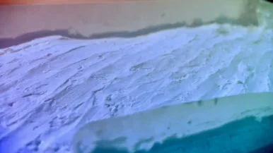 IMG_3548.jpg?type=w386