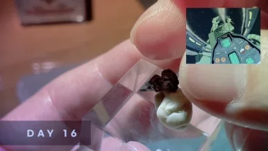 IMG%EF%BC%BF5589.jpg?type=w386