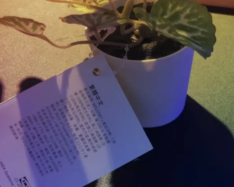 IMG_9269.jpg?type=w773