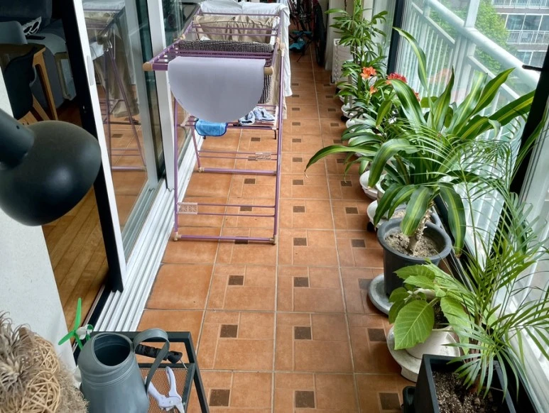 IMG_1467.JPG?type=w773