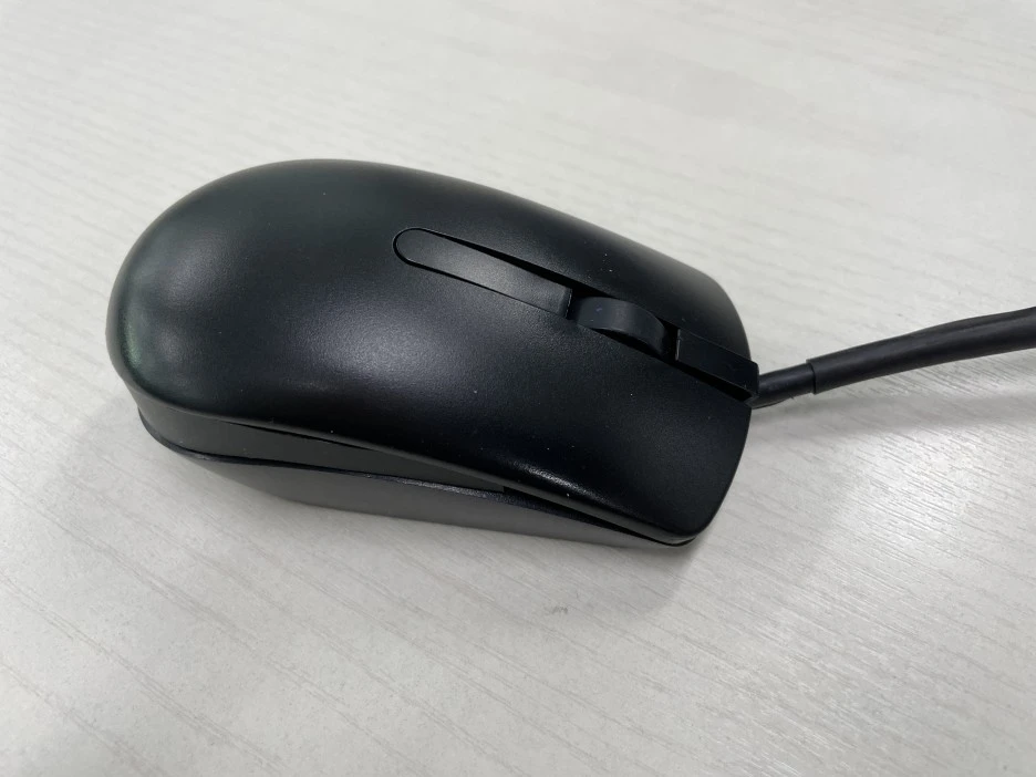 IMG_3595.JPG?type=w1