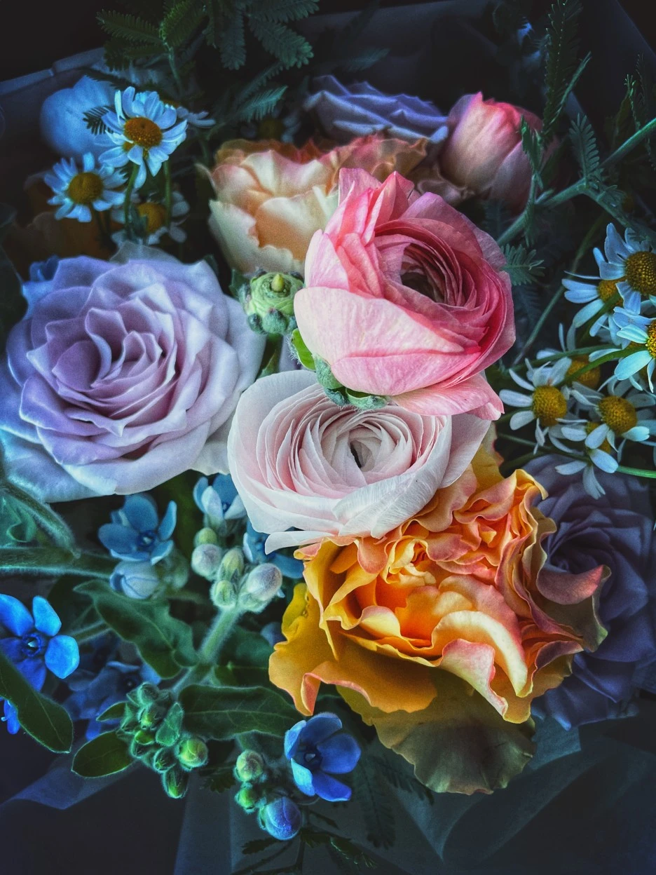 IMG_3694.JPG?type=w1