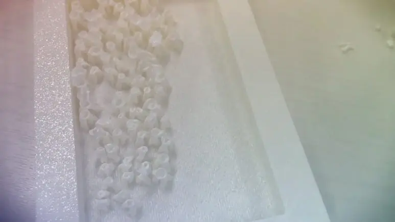 IMG%EF%BC%BF5971.jpg?type=w773