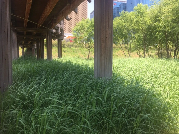 IMG_1775.JPG?type=w1