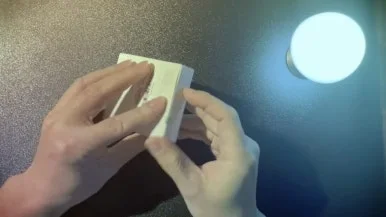 IMG_3647.jpg?type=w386