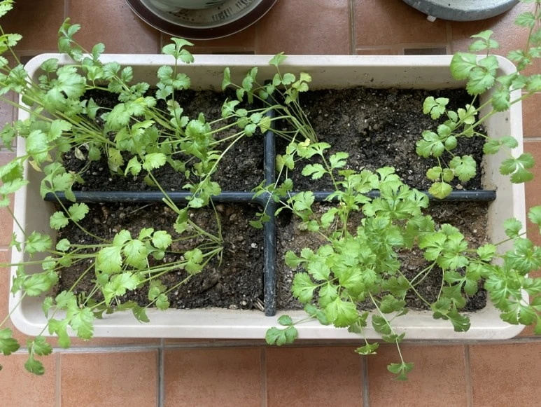 IMG_8789.JPG?type=w773