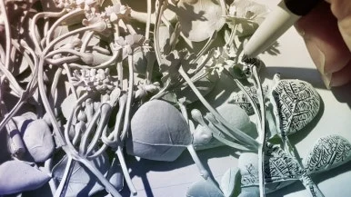 IMG_1798.jpg?type=w386