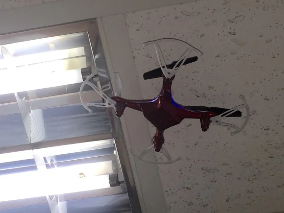 IMG_5954.JPG?type=w580