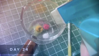 IMG%EF%BC%BF5605.jpg?type=w386