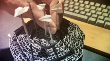 IMG_1806.jpg?type=w386