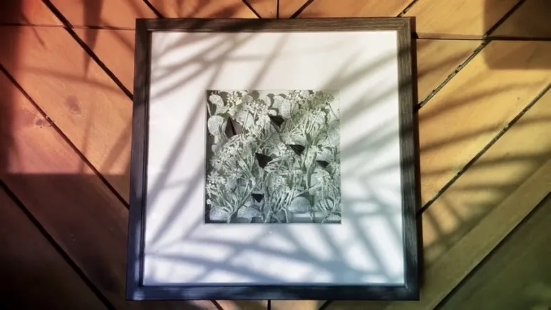 IMG_1812.jpg?type=w773