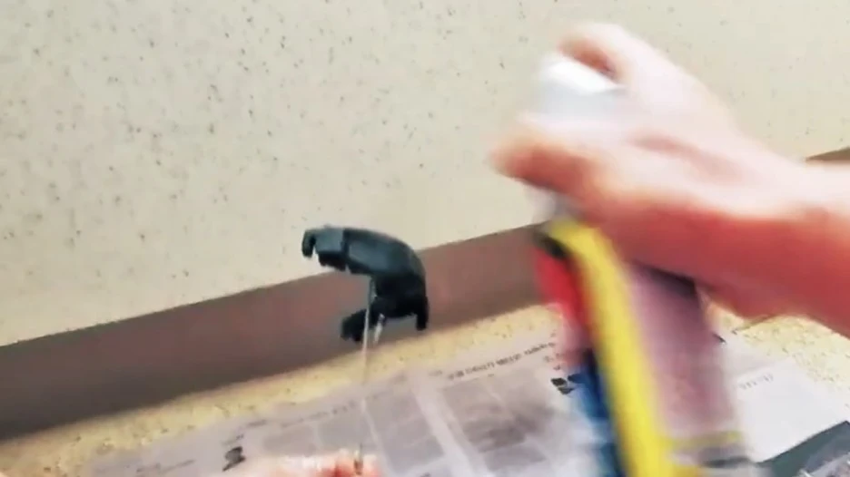 IMG_6070.jpg?type=w1