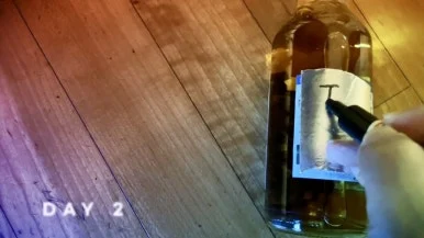 IMG_2241.jpg?type=w386