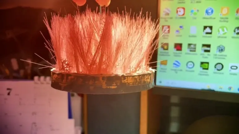 IMG_2429.jpg?type=w773