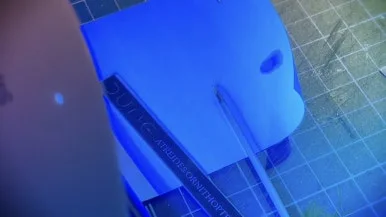 IMG_3568.jpg?type=w386