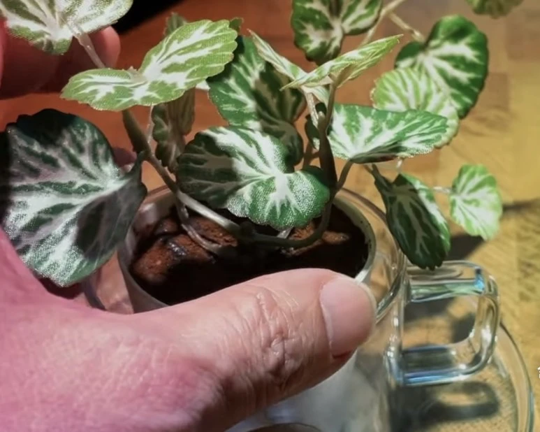 IMG_9280.jpg?type=w773