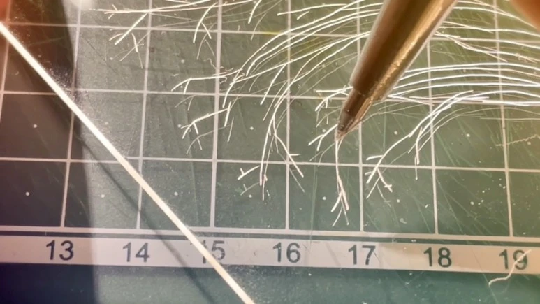 IMG_9299.jpg?type=w773