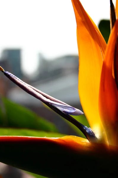 IMG_1261_Original.jpg?type=w1