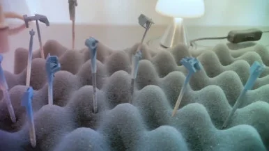 IMG%EF%BC%BF5609.jpg?type=w386