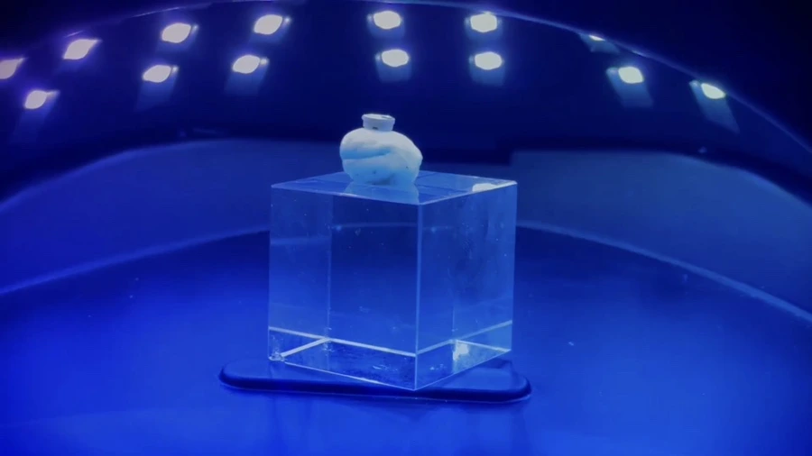 IMG%EF%BC%BF5685.jpg?type=w1