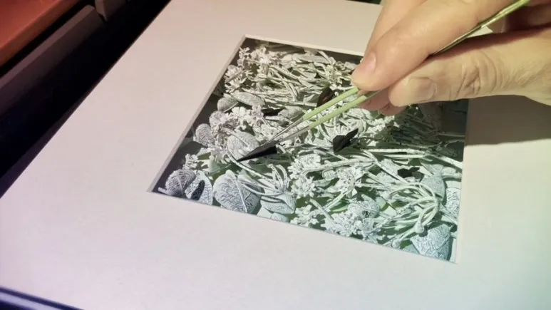 IMG_1809.jpg?type=w773