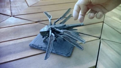 IMG_3177.jpg?type=w386