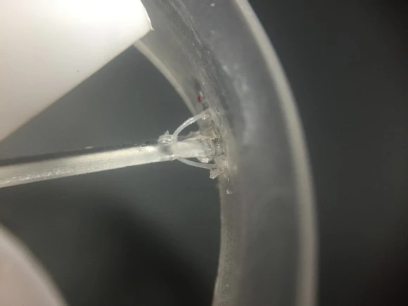 IMG_5938.JPG?type=w580