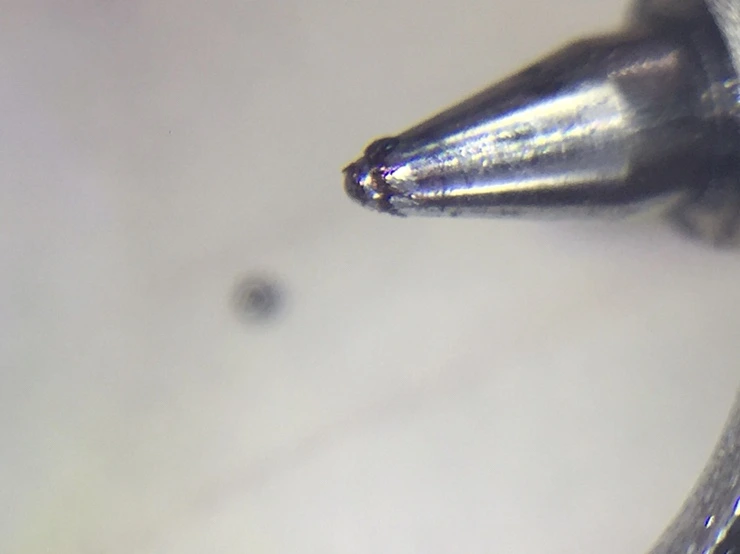 IMG_3092.JPG?type=w1