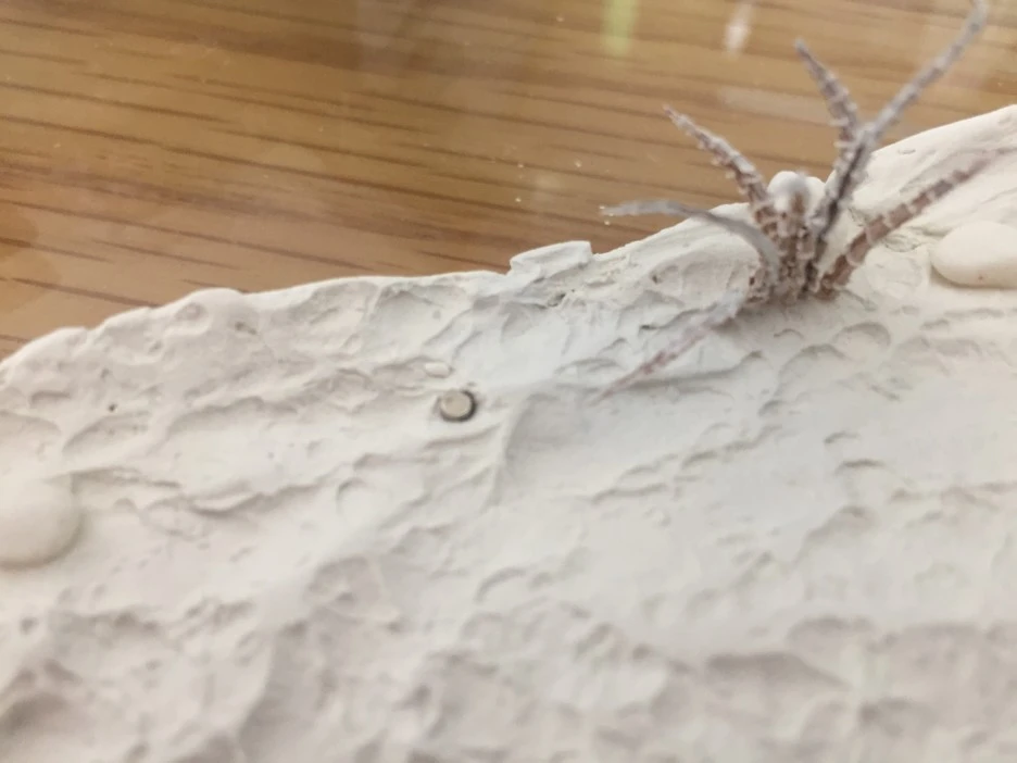 IMG_3205.JPG?type=w1