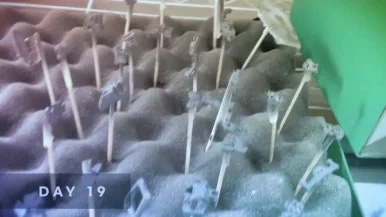 IMG%EF%BC%BF5595.jpg?type=w386