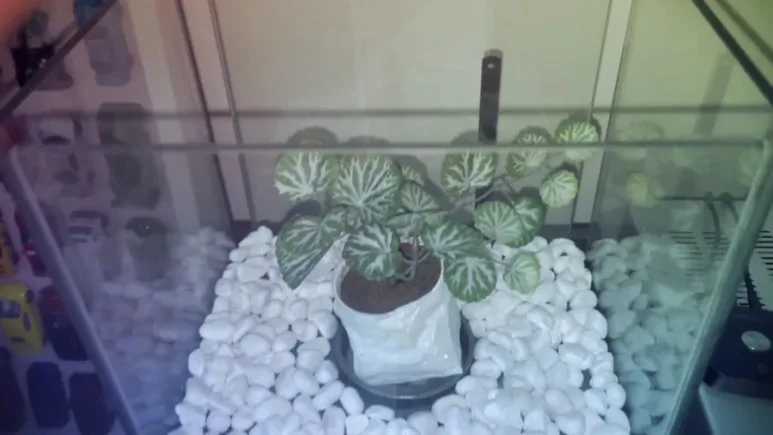 IMG_3404.jpg?type=w773