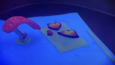 IMG%EF%BC%BF4910.jpg?type=w386