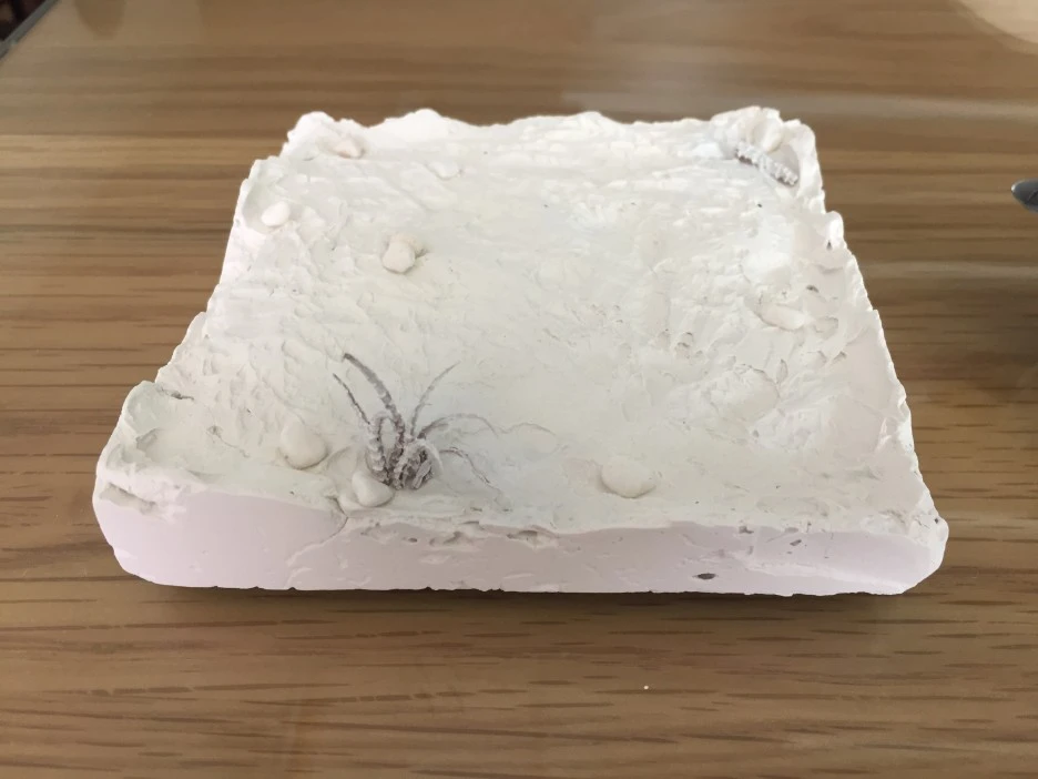 IMG_3204.JPG?type=w1