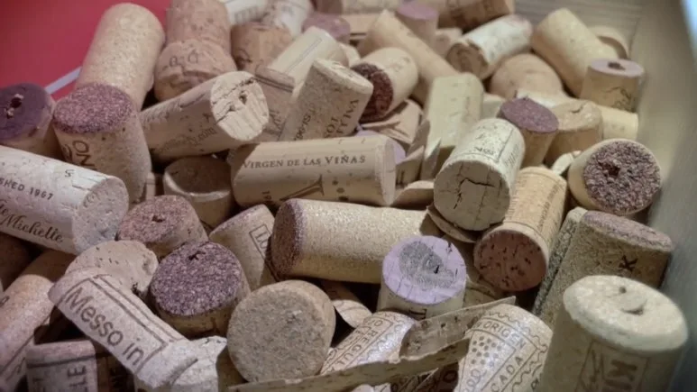 IMG_4273.jpg?type=w773