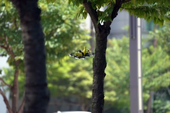 DSC06805.jpg?type=w580