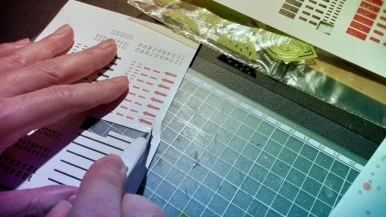 IMG_2063.jpg?type=w386