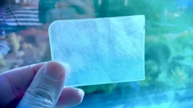 IMG%EF%BC%BF6077.jpg?type=w386