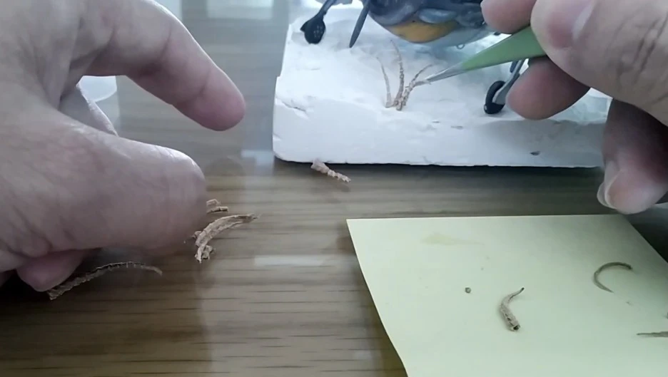 IMG_4393.jpg?type=w1