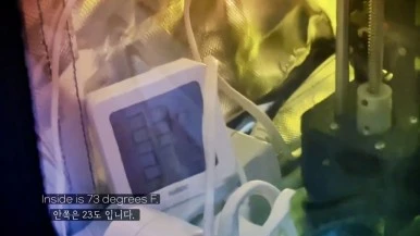 IMG_0797.jpg?type=w386