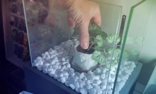 ?src=%22https%3A%2F%2Fblogthumb.pstatic.net%2FMjAyNTAxMDZfMTk4%2FMDAxNzM2MTQwNzUzNjQ0.M-J2wAW-ygcYv-carbs6Bxz7-hmbmiGj9qlq7soPAYsg.NInC-oQ0yjT5CErAkOySy5BldP6Kj5ebSw8oXOEe-CQg.JPEG%2FIMG_3408.jpg%3Ftype%3Dw2%22&type=ff500_300