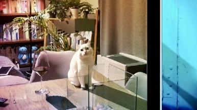 IMG_1203.jpg?type=w386